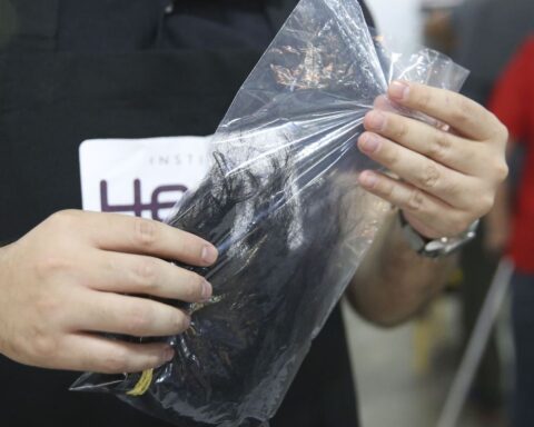 Project creates campaign to donate hair to people with cancer