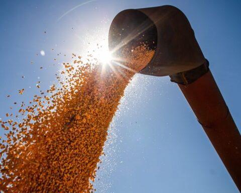 Pronaf will provide BRL 60 billion to finance the 2022/23 Crop Plan