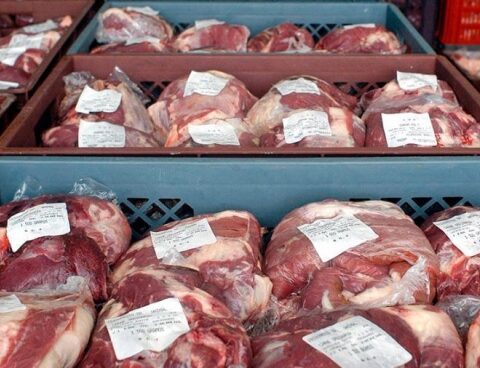 Record beef exports during the first semester