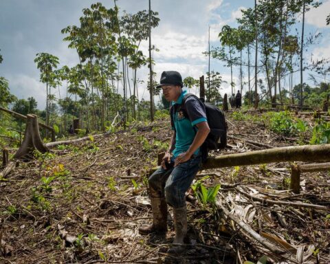 Regime cuts Marena budget but hunts for "green funds"