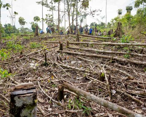Régimen firma acuerdos ambientales