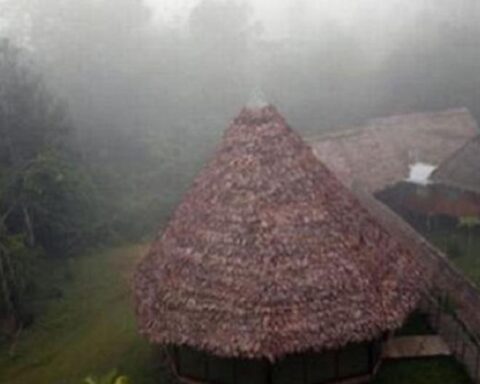 Senamhi forecasts drop in temperature and rain of moderate intensity in the jungle