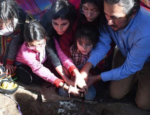 Surgeons promote interculturality in the training and practice of medicine