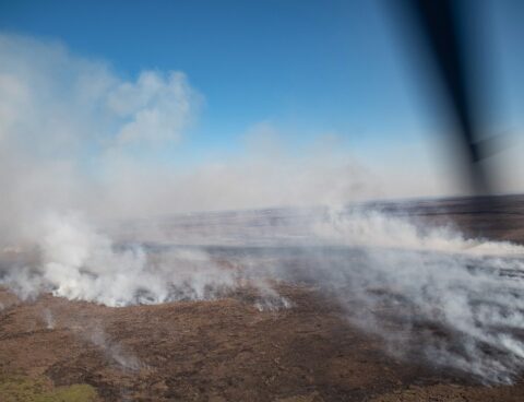 Tasks continue to extinguish the flames on the islands of the Paraná Delta