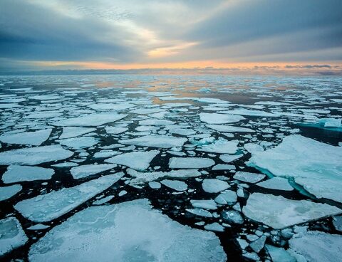 The Arctic is warming four times faster than the rest of the planet