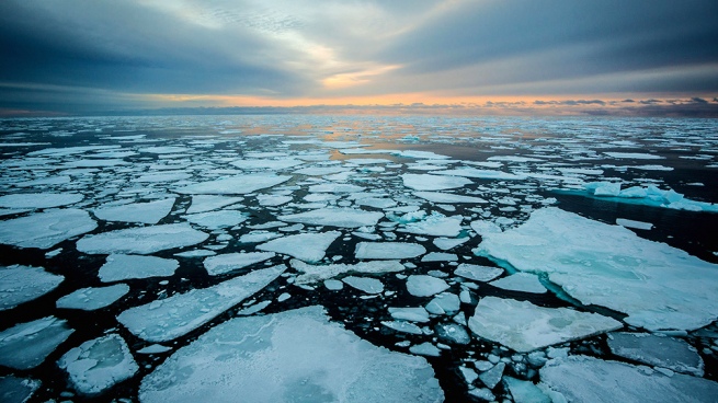 The Arctic is warming four times faster than the rest of the planet