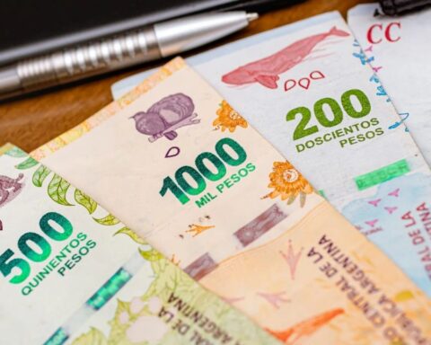 The Government does not rule out the payment of a bonus for workers