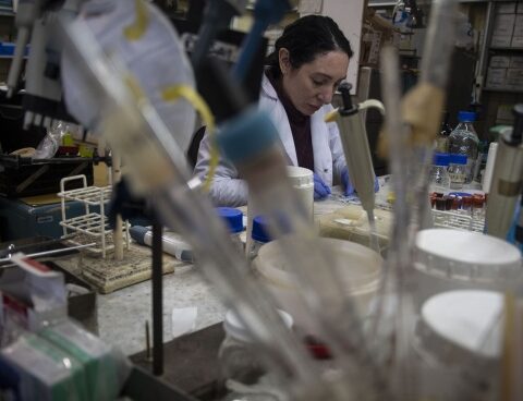 The Malbrán Institute, at the continental forefront in the production of antivenoms