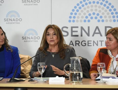 The Ombudsman for Children and Adolescents praised the "visibility" of the sector