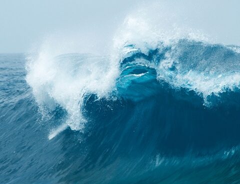 The UN will resume talks to complete a high seas protection treaty