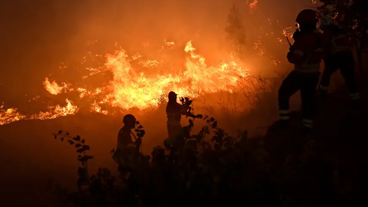 The fire burned this summer 25% of the largest protected area in Portugal