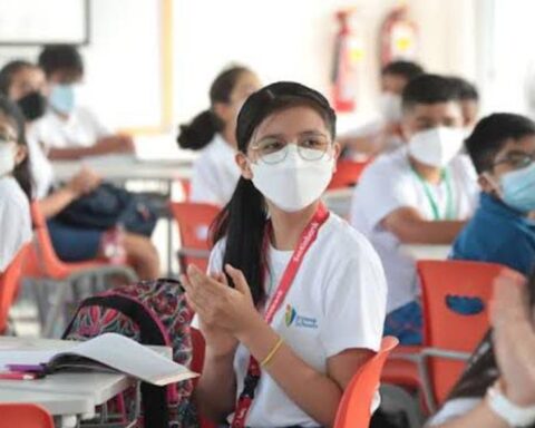 "There is a need to pay more attention to schoolchildren when they choose a university career"