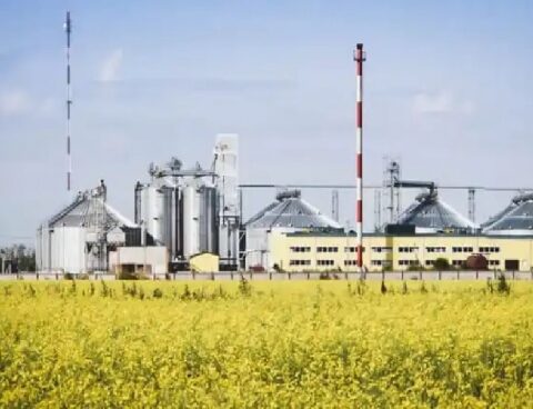 They confirm that the extension of the cut to 12.5% ​​biodiesel will be for 60 days