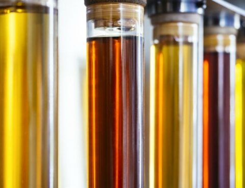 They extended the validity of the 12.5% ​​biodiesel cut