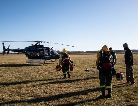 They order the support of the Armed Forces in the fire emergency in the Paraná Delta