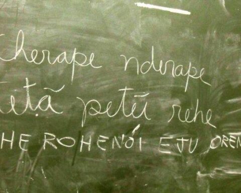 They reveal that 33.4% of the population speaks Guarani at home