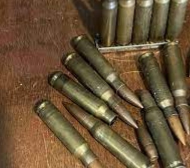 They seized 8,095 bullets that were transferred to Apure