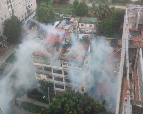 They try to stop dengue with a fumigation campaign without adequate means