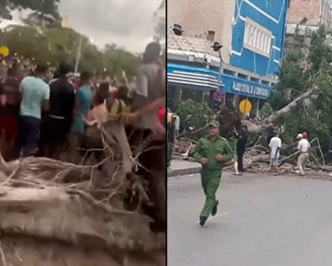 Two children and an adult injured by the fall of two trees in Havana