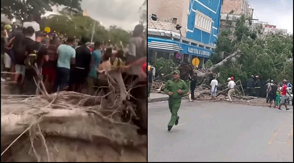 Two children and an adult injured by the fall of two trees in Havana