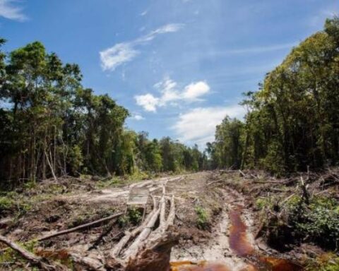 ONU: 10 catástrofes en un año costaron 280.000 millones de dólares