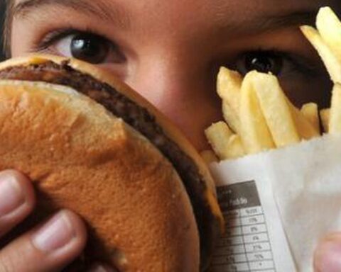 Ultra-processed foods may contribute to cognitive loss