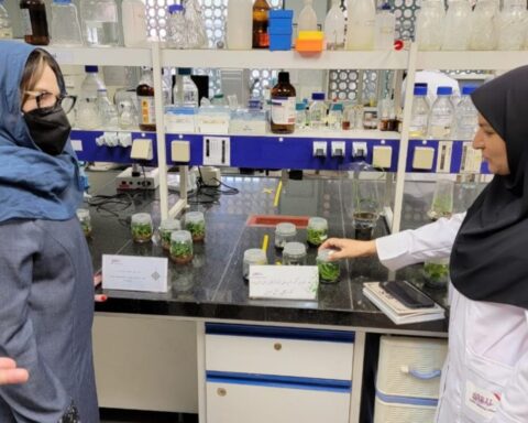 Venezuela and Iran advance in food production