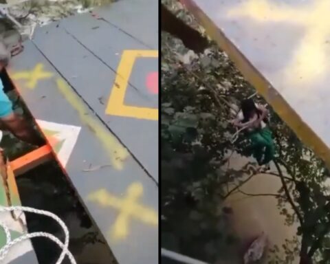 [Video] Child fell from suspension bridge in Antioquia: he was saved from dying because he fell into a tree
