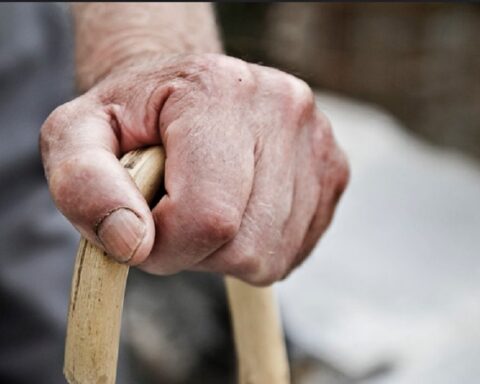 [Video] With a shotgun, 80-year-old grandfather injured a thief who tried to rob his store