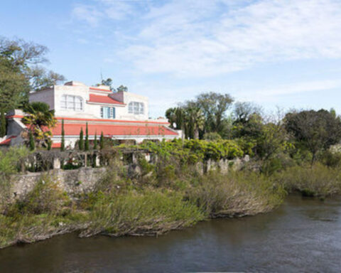 Vipers among the "17 dredging" planned in the country