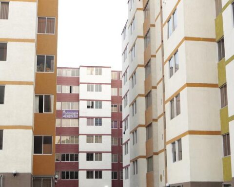 What do young people look for when buying an apartment?