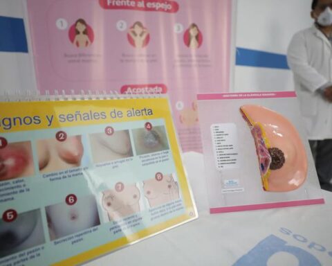 Women will have an annual day of leave to rule out breast and cervical cancer