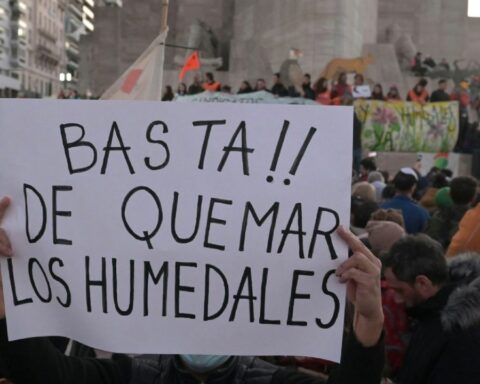 520 organizations will mobilize to demand a wetland law that protects them from fires