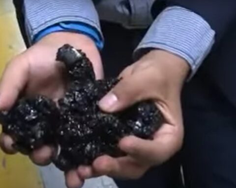 A student creates pavement that regenerates when in contact with water