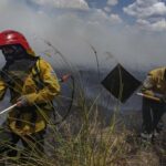 A total of six forest fires were extinguished throughout the country