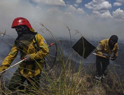 A total of six forest fires were extinguished throughout the country