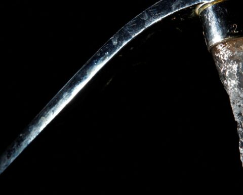 Aegea Saneamento buys two lots of sanitary sewage in Ceará