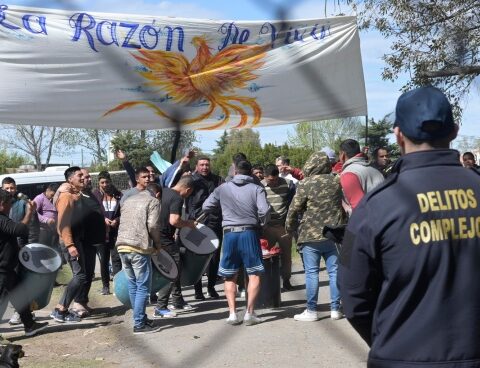 After the release of "ceiling" Medina, the director of "The reason to live"