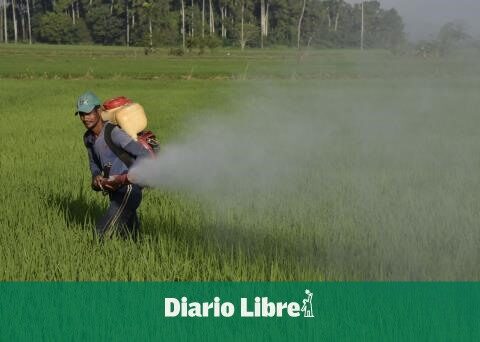 Agricultural land is lost in the DR