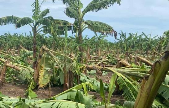Agricultural sector, hard hit by Hurricane Fiona