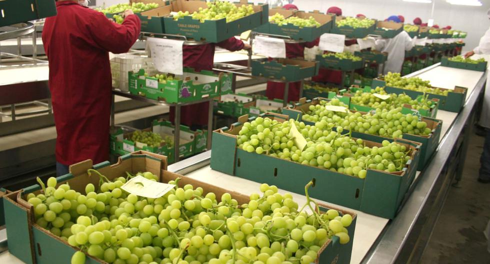 Agro-exports would exceed US$ 10,000 million this year, estimated Adex