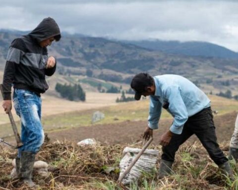 Agro, with the largest budget increase, what will be invested in?