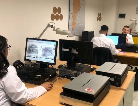 Almost six out of ten national public employees carry out their tasks in CABA