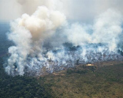 Amazon in "Red alert" by deforestation and pollution, warn indigenous leaders