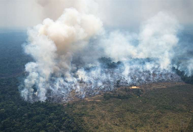 Amazon in "Red alert" by deforestation and pollution, warn indigenous leaders