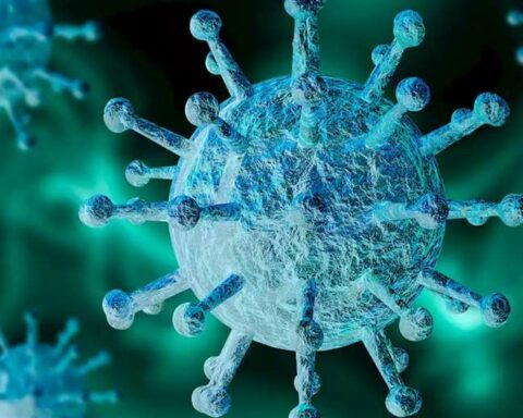 Antibody found that could fight all strains of coronavirus
