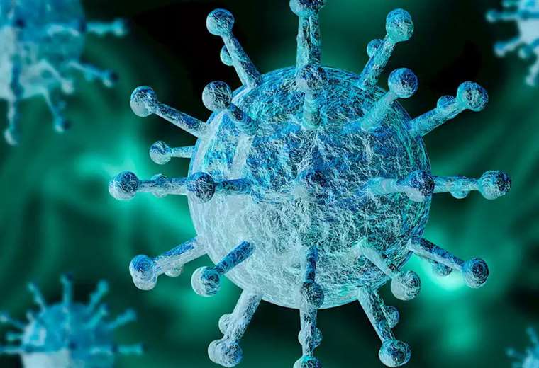 Antibody found that could fight all strains of coronavirus