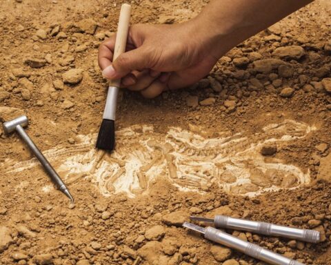 Archaeological findings in Samaná would allow to date the antiquity of aboriginal settlers