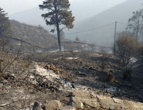Arrested, routes cut and a rally suspended due to the fires in Córdoba