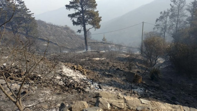 Arrested, routes cut and a rally suspended due to the fires in Córdoba